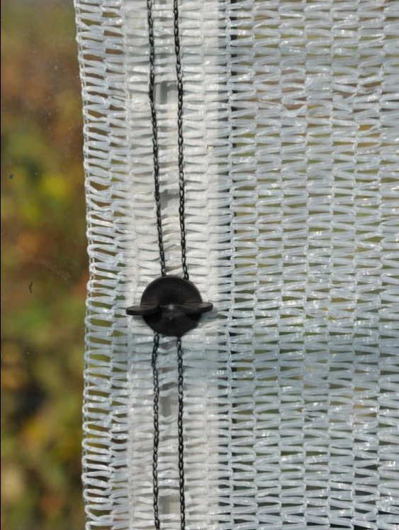 Royal Well Snapshots 20 stuks - Afbeelding 1